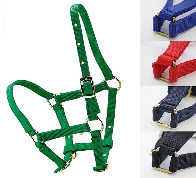 CAPEZZA PULEDRI/SHETTY Capezze Nylon 